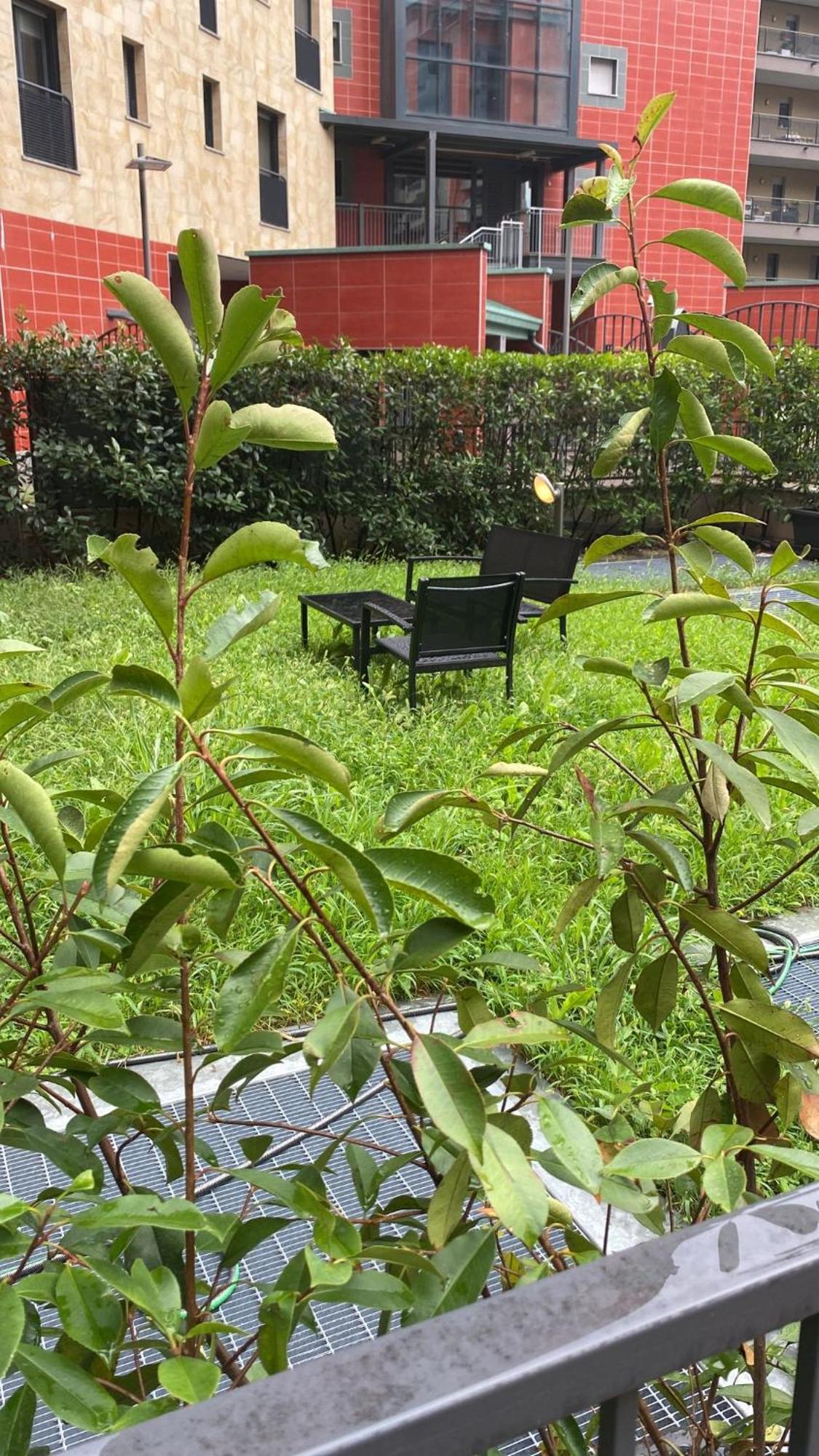 Cos54 - Exclusive Apartment With Garden In Milan Luaran gambar